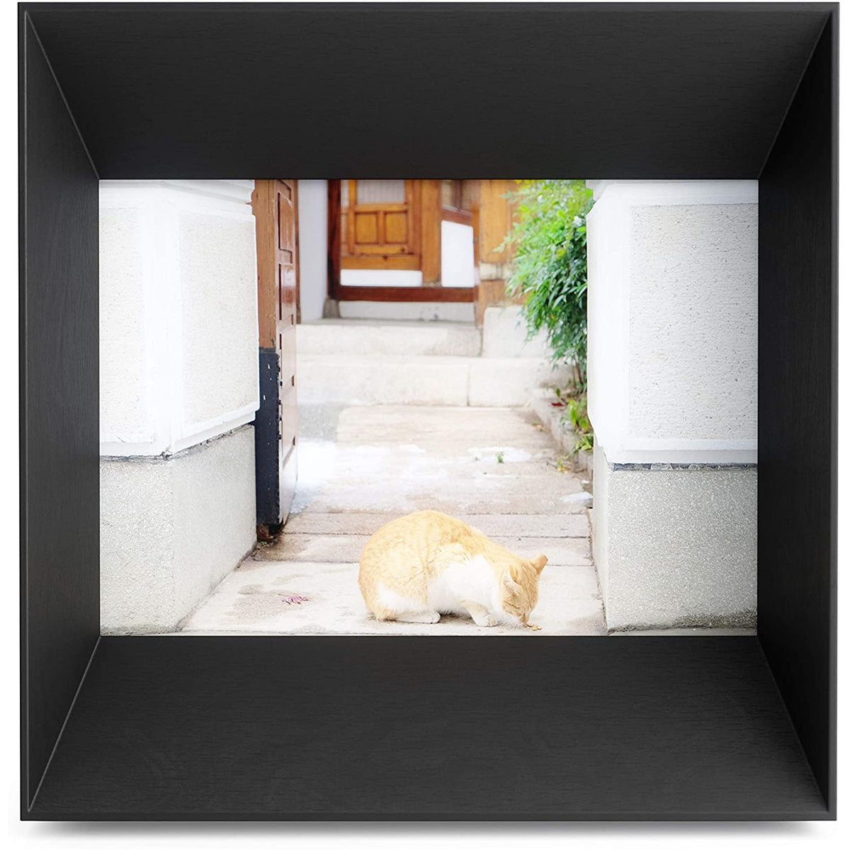 LOOKOUT PD 5X7" NEGRO