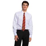 GRYFFINDOR TIE