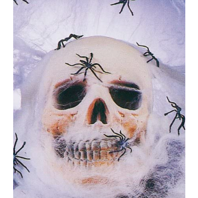 Tela de araña negra