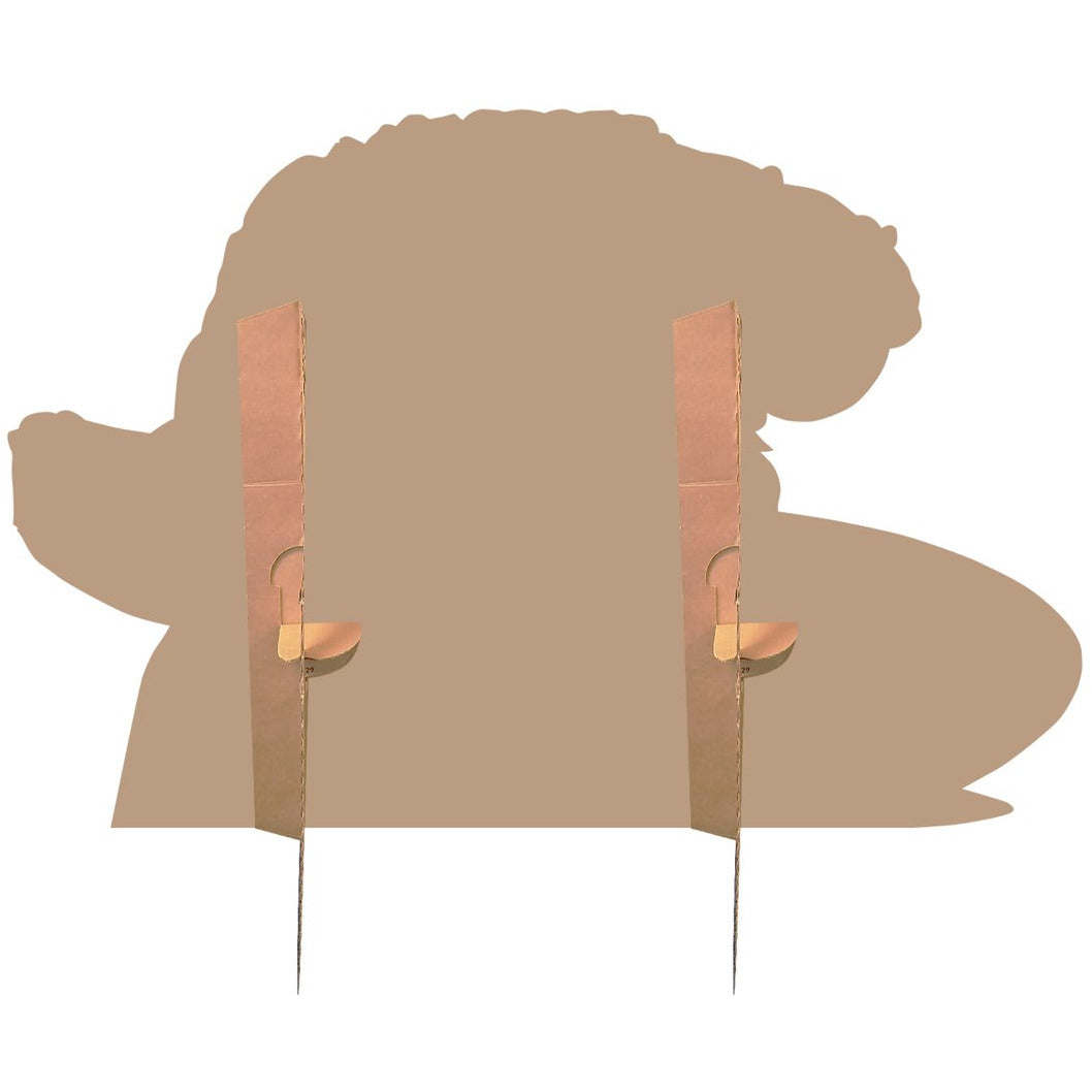 Maui Moana Soporte de cartón