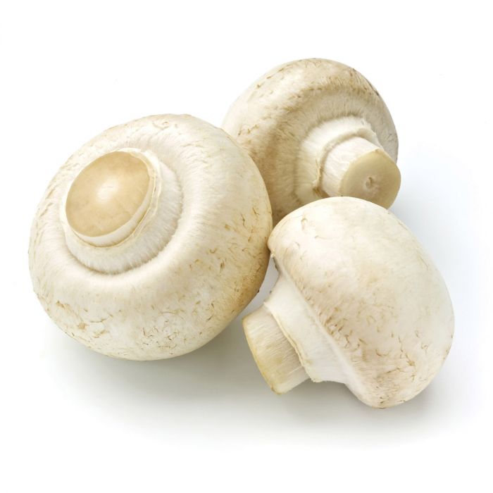 Cepillo para champiñones (CD)