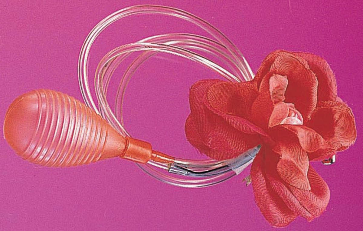 Rosa Jumbo Squirt