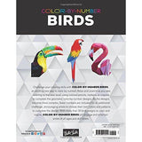 COLOREA POR NÚMEROS: AVES
