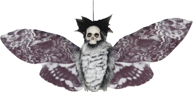 Polilla colgante