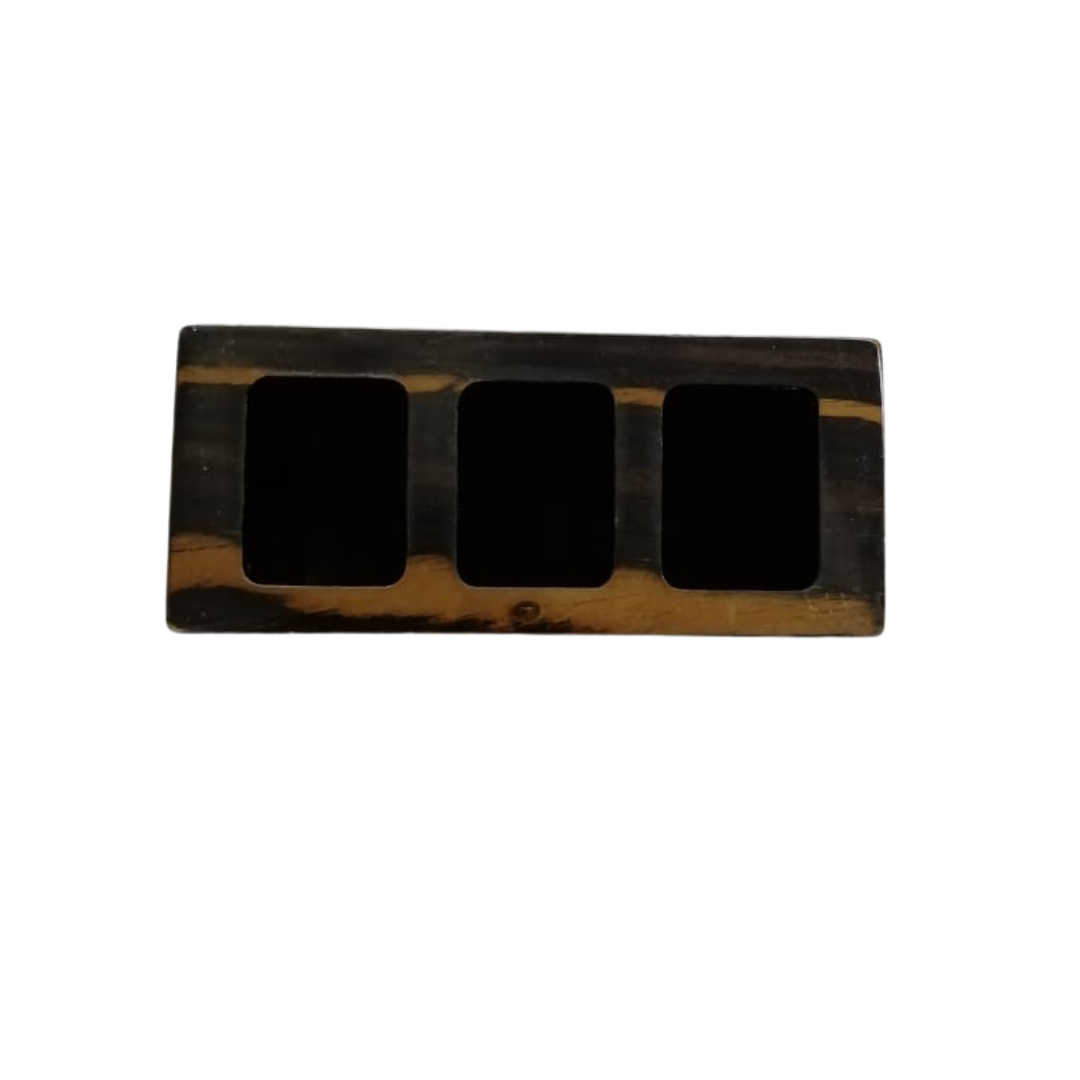 Brush organizer