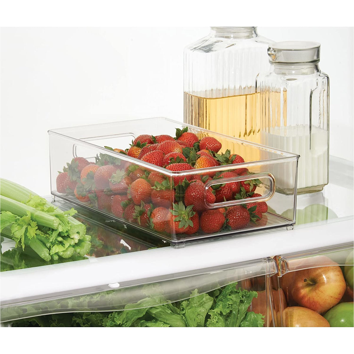 Nevera + Congelador Binz 8 x 14.5 x 4 - Contenedor Profundo Transparente