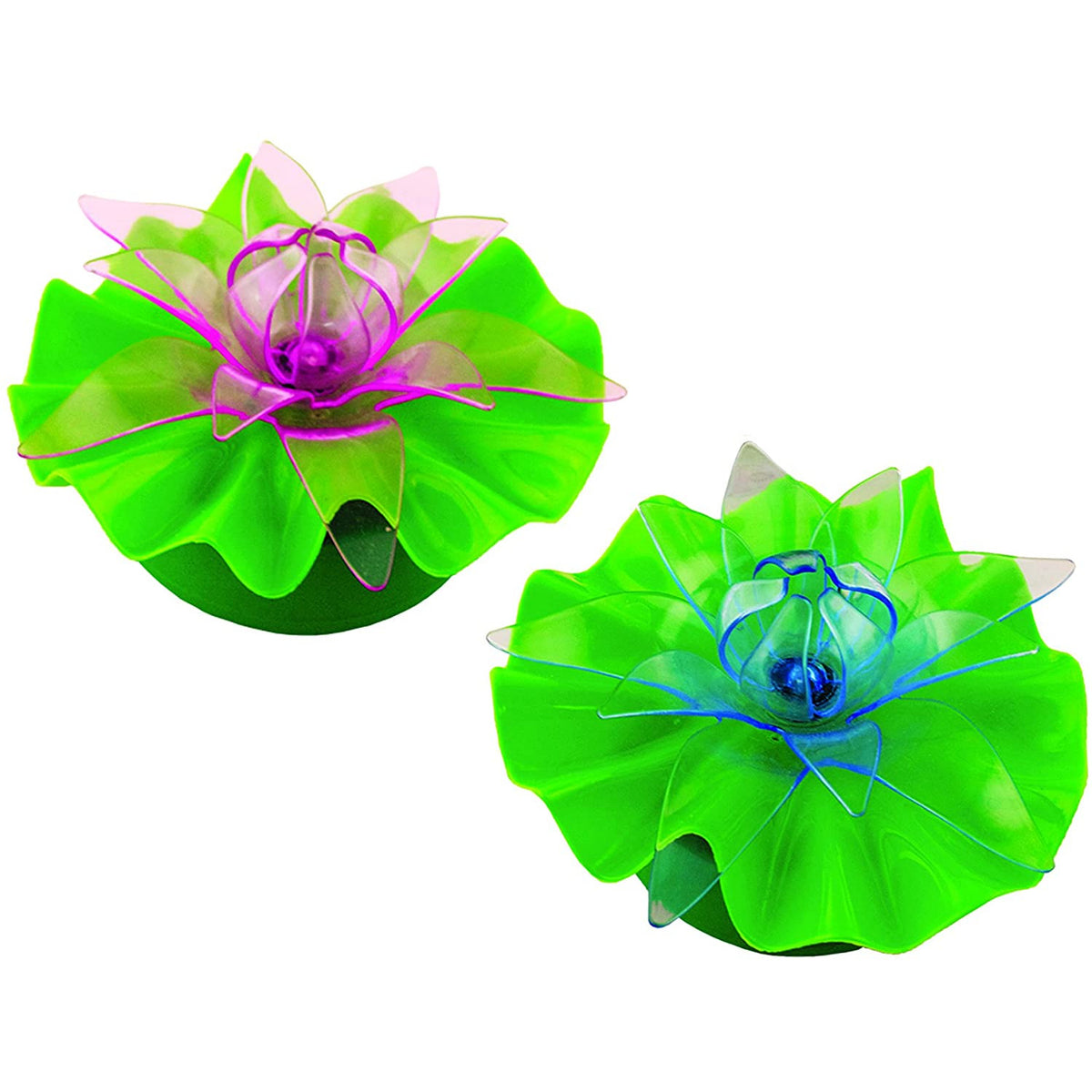 Ocean art lotus