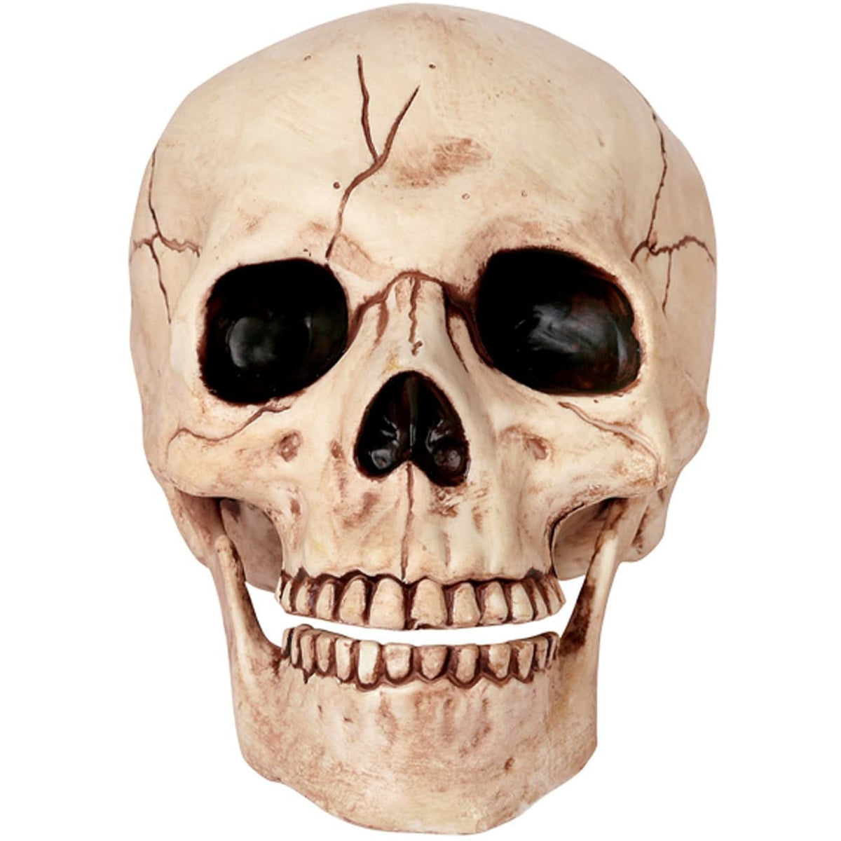 CALAVERA