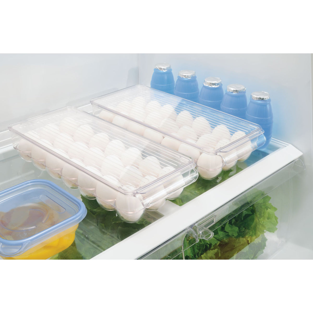 21-Egg Compartment