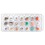 21-Egg Compartment