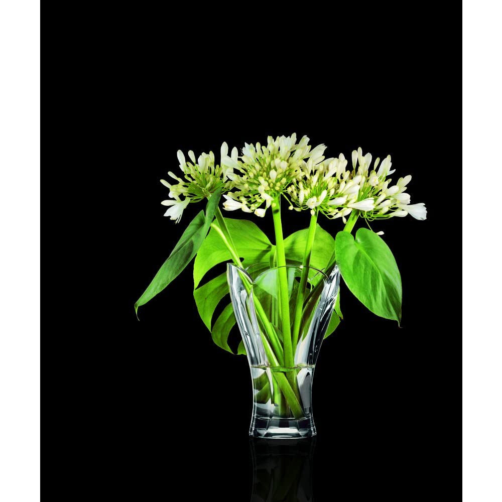 Calypso 1x florero de 25 cm
