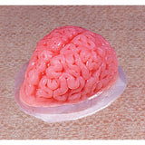 MOLDE DE GELATINA DE CEREBRO