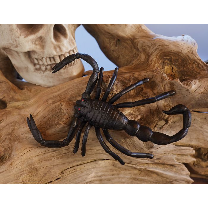 Escorpión gigante de 6,5 pulgadas