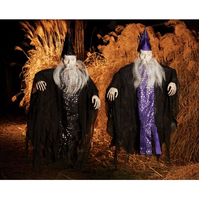 CELESTIAL WIZARD