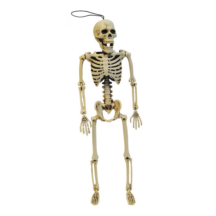 ESQUELETO