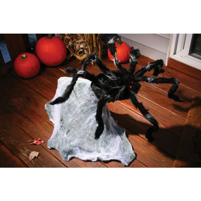 Araña saltarina gigante de 91 cm