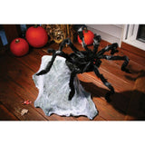 Araña saltarina gigante de 91 cm