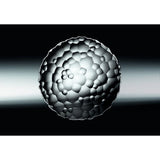 Plato individual Riedel Sphere