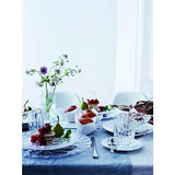 Set of 2 Clear Salad Plates 9"