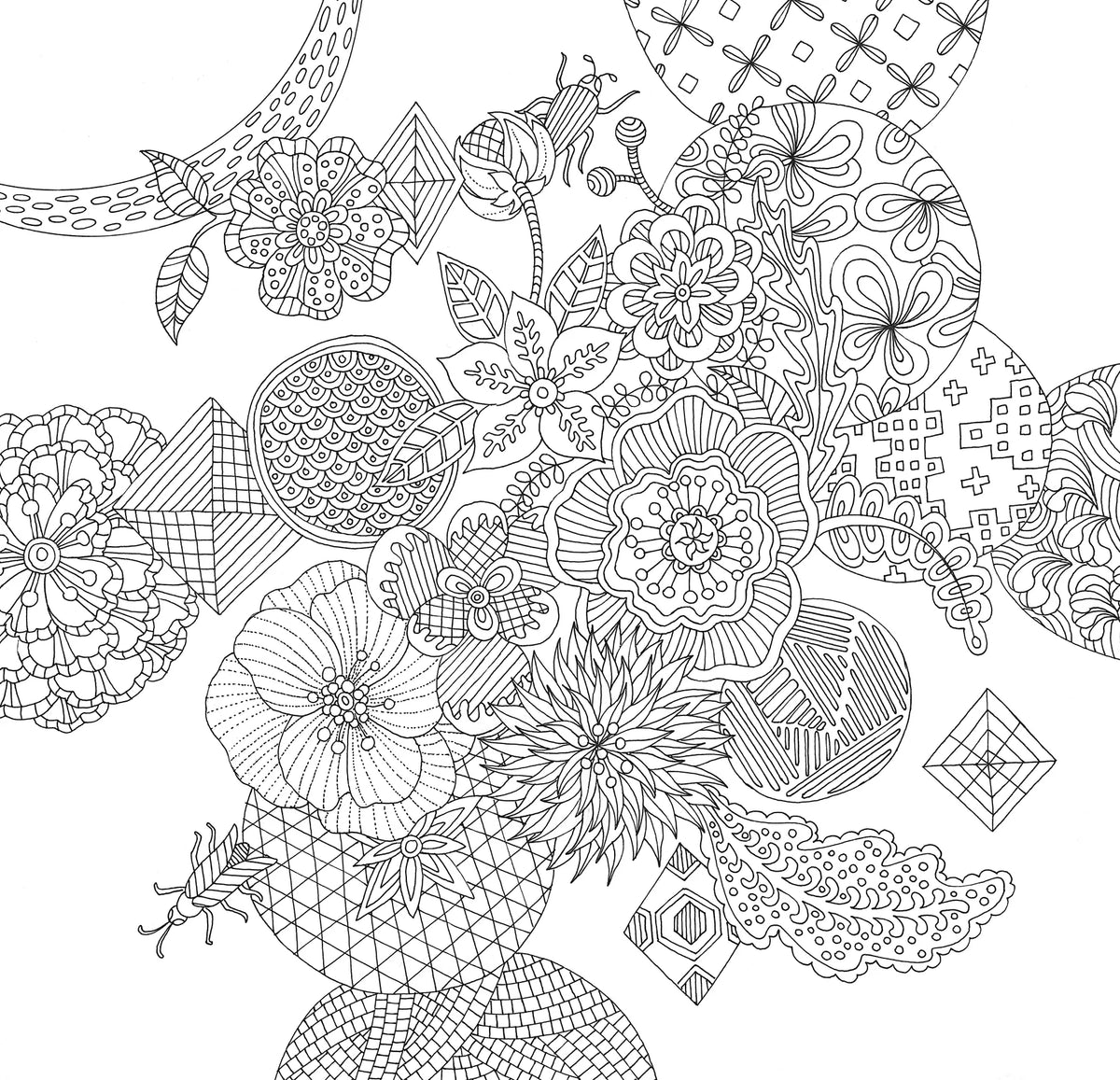 Libro de colorear de un artista para jardines zen