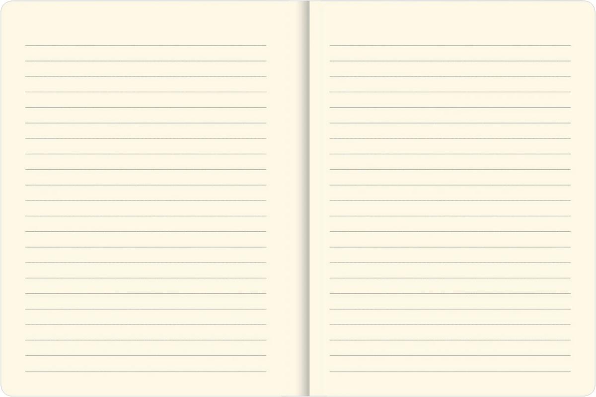 Galaxy Journal
