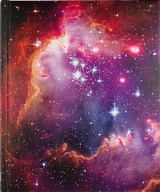 Nebula Journal