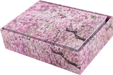 Note card Cherry blossoms