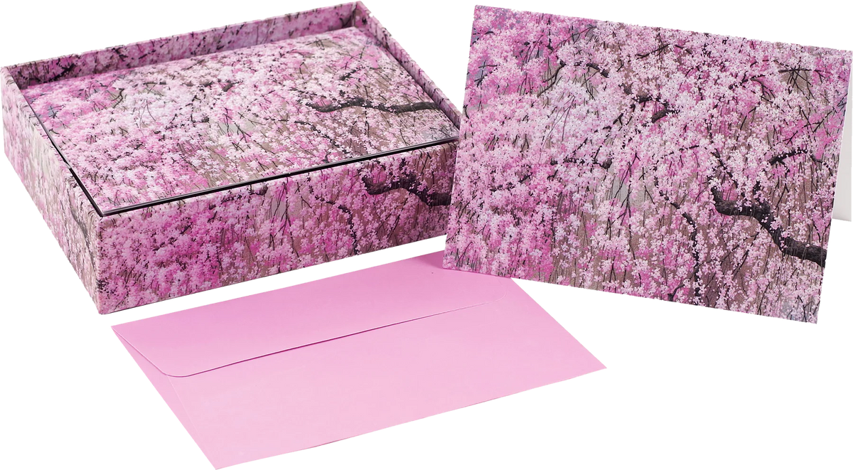 Note card Cherry blossoms