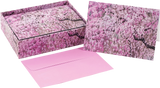 Note card Cherry blossoms