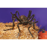 ARAÑA PELUDA POSABLE SURTIDA DE 127 CM
