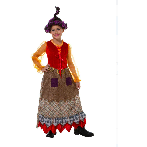 Hocus Pocus Inspired Witch Goofy Girl Costume