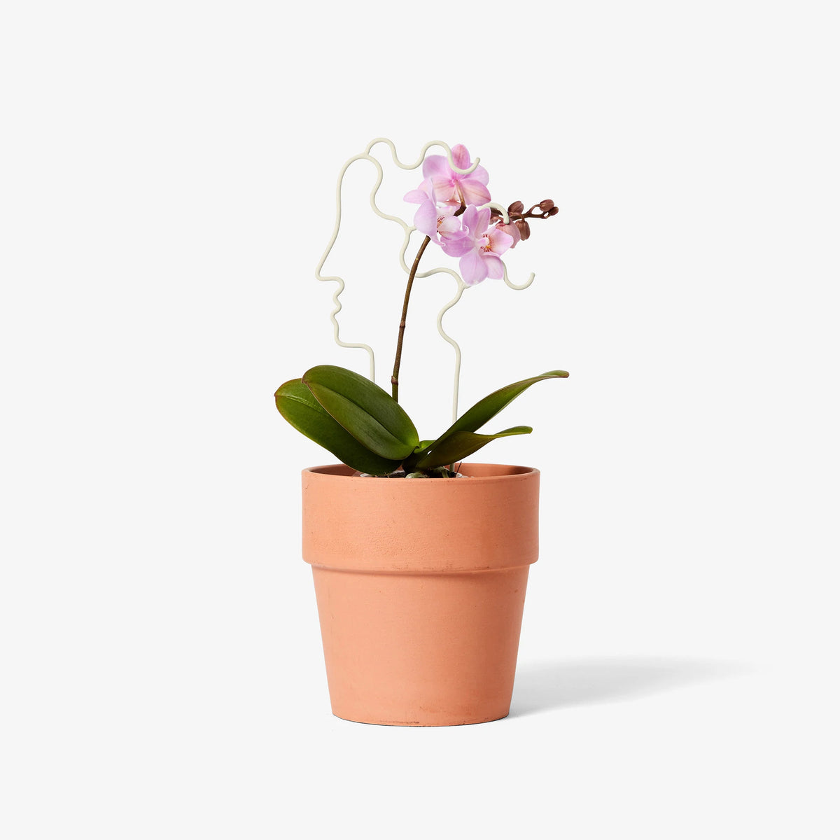 Enrejado para plantas de tamaño reducido