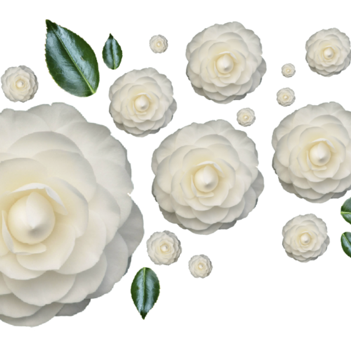 Flower Pop Paper Placemat
