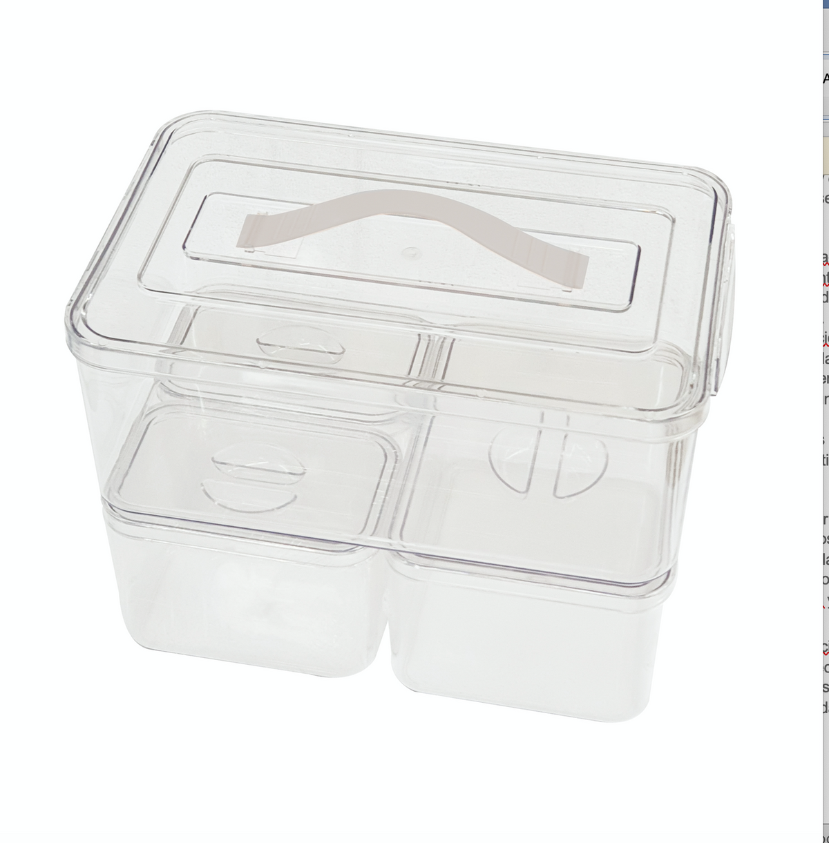 Juego de 4 cajas de almacenamiento transparente/gris