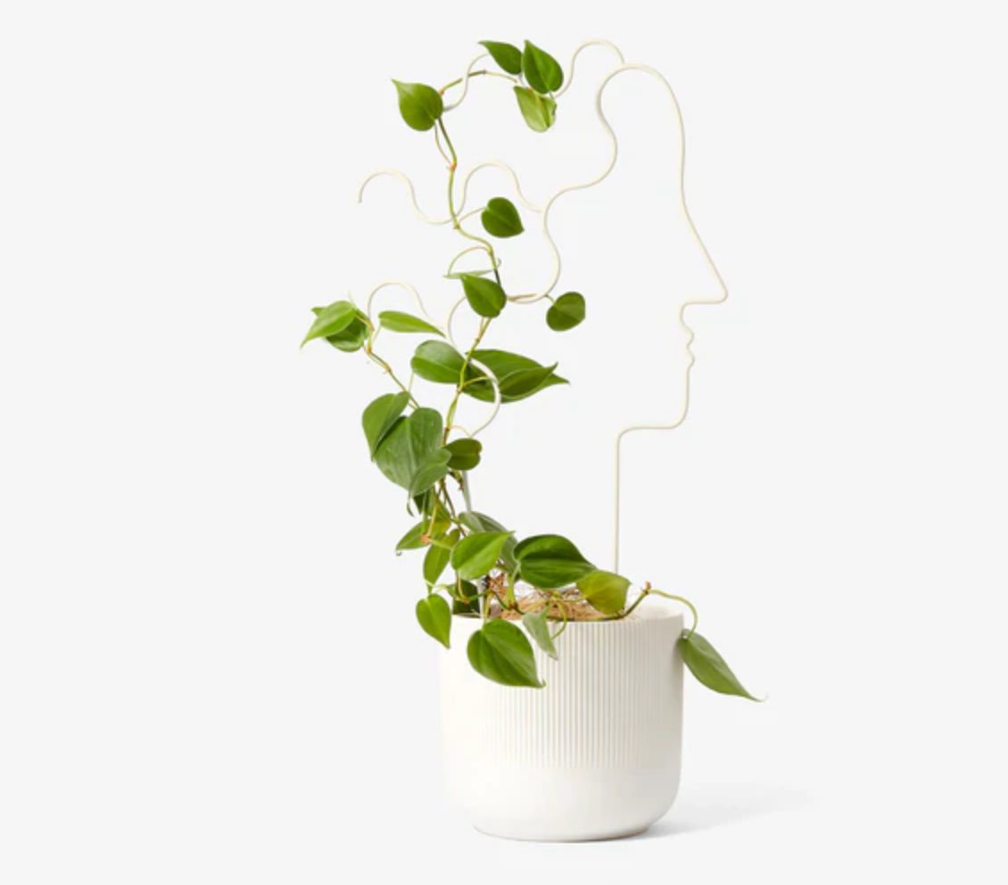 Celosía para plantas humana grande