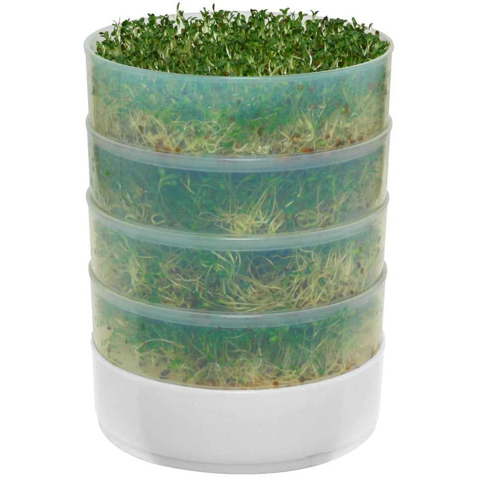 Germinador de cocina de 4 niveles