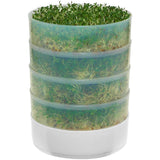 Germinador de cocina de 4 niveles