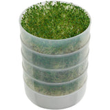 Germinador de cocina de 4 niveles