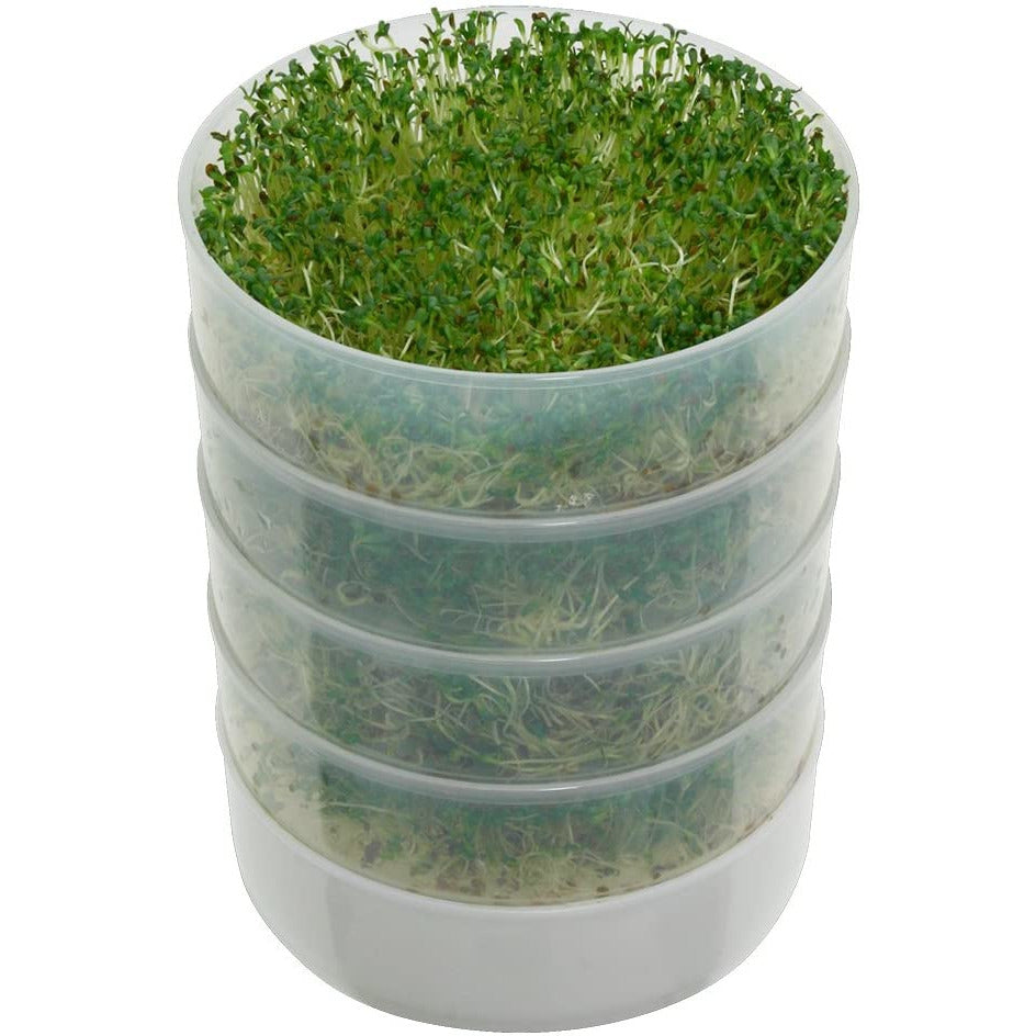 Germinador de cocina de 4 niveles
