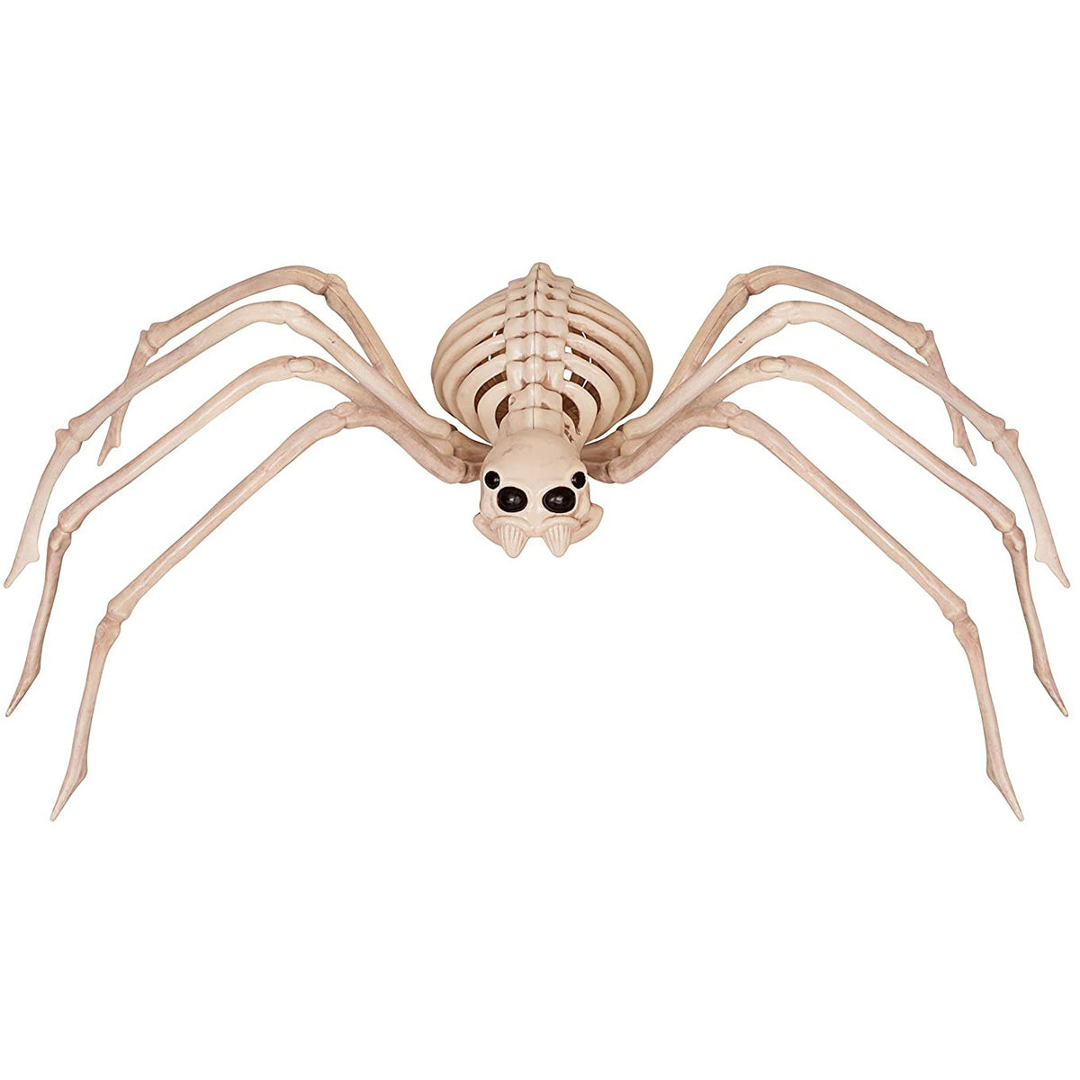 Araña esqueleto de 13.75"