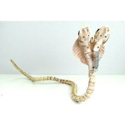 ESQUELETO DE COBRA DE DOS CABEZAS 104 CM