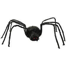 Araña Negra Andarina