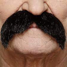 Bigotes negros