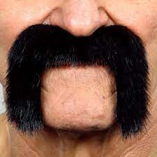 Bigotes Negros