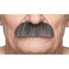 Bigotes grises