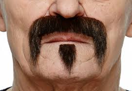 Bigotes con barbas marrón oscuro