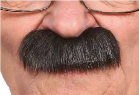 Bigotes Negros