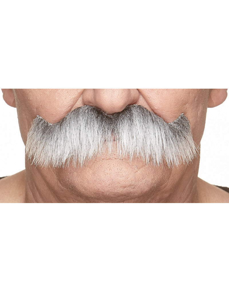 Bigotes grises