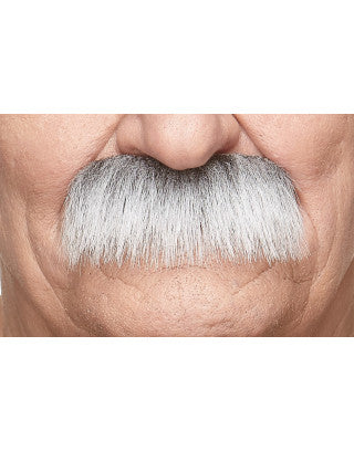 Bigotes Grises