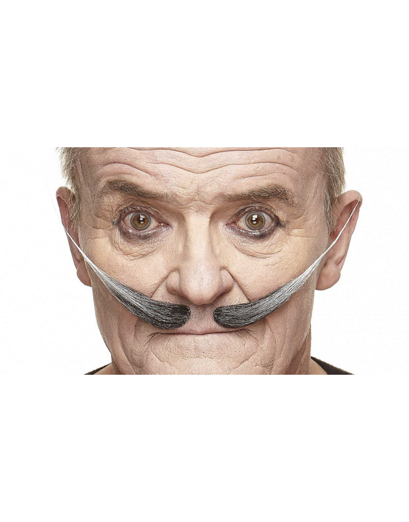 Bigotes Grises